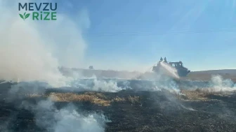 Bolu'da Elektrik Direğindeki Kıvılcım Yangına Neden Oldu: 8 Dekar Alan Yangında Yok Oldu!