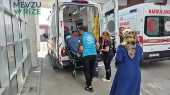 Adıyaman'da incir toplarken ağaçtan düştü ! Hastaneye kaldırıldı