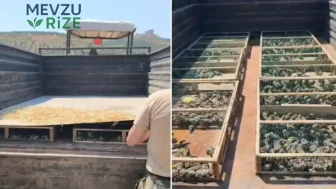 Hatay'da Kaçakçılık Operasyonu: Traktör Römorkunda 2 Bin 114 Saka Kuşu Yakalandı!