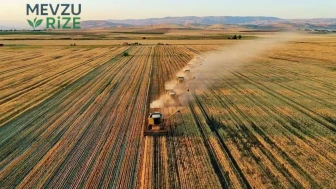 Tarım Girdileri Maliyet Raporu Yayınlandı: Gübre Fiyatlarında Rekor Yükseliş!