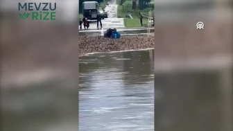 ABD'de Sel Tehlikesine Rağmen Atlar Kurtarıldı!