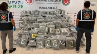 Hamzabeyli Sınır Kapısı'nda Şaşkına Çeviren İstihbarat: TIR’dan 288 Kilogram Esrar Çıktı!