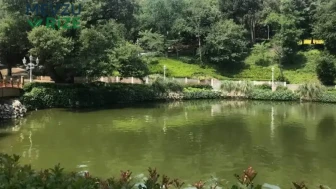 İstanbulluların Yeşil Alan Projelerine Verdiği Destek: Çevre Bilinci ve Sağlıklı Yaşam Arzusu!
