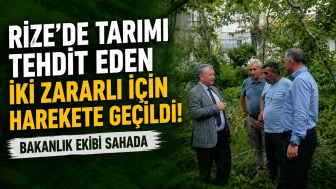 Rize’de Tarımı Tehdit Eden İki Zararlı İçin Harekete Geçildi: Bakanlık Ekibi Sahada