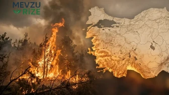 2025'te 3.224 Orman Yangını: 81 Bin Hektar Alan Kül Oldu! Prof. Dr. Kayıkçıoğlu'ndan Kritik İnsani Etki Uyarısı!