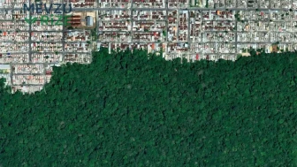 Manaus'un Genişlemesi: Amazon Yağmur Ormanlarına Yönelen Tehlike