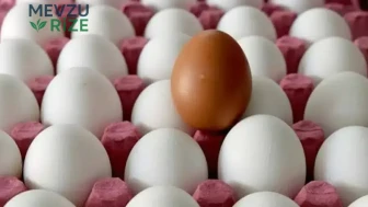Yumurta Tüketiminde Salmonella Tehlikesi: Hastalananların Sayısı Açıklandı!