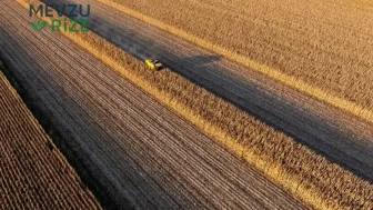 Tüketici Koruma Fonuna 13,1 Milyar TL'lik Yeni Destek Paketi Açıklandı