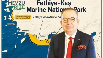 Mavi Vatan’a Doğal Koruma: Ege ve Akdeniz’de Yeni Milli Park Adımları