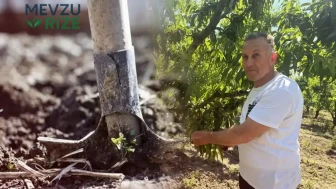 Kimyasal gübreye tek kuruş ödemiyor! Uyguladığı yöntem sipariş yağdırıyor