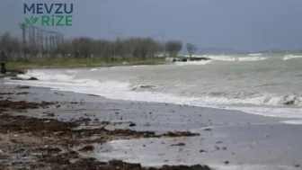 Karadeniz ve Marmara'da Art Arda Gelen Yeni Yasaklar İle İlgili Gelişmeler