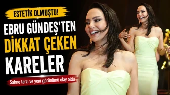 Estetik olmuştu! Ebru Gündeş'ten dikkat çeken kareler