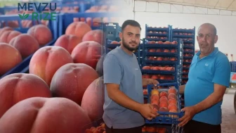 Çivril şeftalisi dalında kaldı, fiyatı yarıya düştü! Üretici zararına satış yapıyor