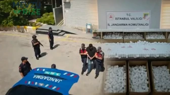 Piyasaya süremeden yakalandılar... İstanbul'da zehir tacirlerine darbe! Jandarmadan çeyrek milyonluk uyuşturucu operasyonu
