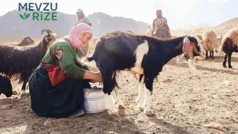 Besin Değerleri Yükseliyor: Yumurta, Süt ve Tavuk Eti Artık Daha Ulaşılabilir!