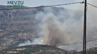 Adıyaman'da Yeni Yangın Alarmı: Ormanlar Küller İçinde!