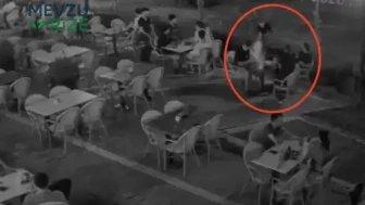 Ağacın Ardında Pusu: Kafe Müşterisine Saldırı!