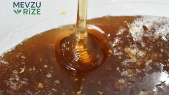 İlk Hasat Heyecanı! Kilogramı 1900 TL'den Satışta!