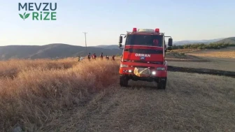 Saraydüzü'nde Anız Yangını Kontrol Altına Alındı!