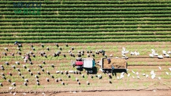 Tarım Sektörüne 106 Milyarlık Destek: Yılın İlk Yedi Ayında 2.9 Milyon Çiftçiye Yardım Yapıldı!