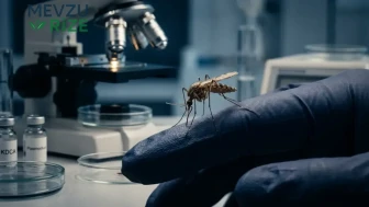 Asya ülkesinde sıtma alarmı: Sivrisineklerde parazit genetiği tespit edildi