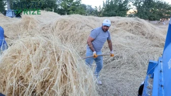 Geleneksel Tarım Uygulamaları: Sabah 7'de Başlayıp Gece 10'a Kadar Devam Eden Sıkı Çalışma Düzeni