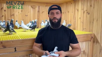 Kümeste Değerli Yetiştiricilik: Otomobil ile Takas Talepleri Artıyor!