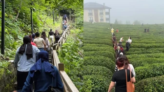 Muş’taki Çocuklar Karadeniz’i Keşfetti: Trabzon ve Rize’de Unutulmaz Gezi