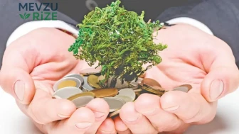 İlk Yarıda 120 Milyar TL'lik Sukuk İhalesi Gerçekleşti