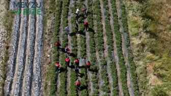 Şehrin Ekonomisinde Yeni Bir Dönem: Zorlu Bakıma Rağmen Kazanç Potansiyeli Yüksek!