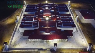 Güneş Işıklarıyla Oynayan Doğa: Bir Köşe Kapmaca Hikayesi