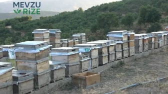Yüksek Yaylalardan Sofralara: Binlerce Çiçekle Doğanın Lezzetleri!