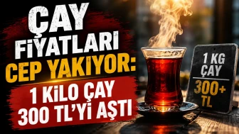 Çay Fiyatları Cep Yakıyor: 1 Kilo Çay 300 TL’yi Aştı