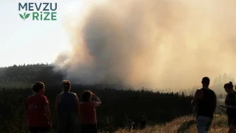 Washington'da Acil Durum İlanı: Orman Yangınları Kontrolden Çıkıyor