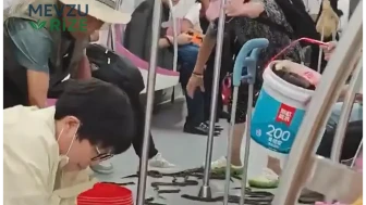 Çin'de treni basan yılan balıkları panik yarattı