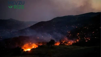 Fransa'nın Var Bölgesi'nde Yangın Felaketi: 2.500 Kişi Güvenli Bölgelere Taşındı