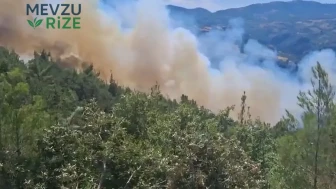 Sındırgı'da 20. Saatine Giren Yangın Söndürüldü: Kontrol Altında!