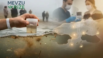 Yalova'daki Deniz Suyunun Temizliği: Fekal Kirlilik Riskine Dikkat!