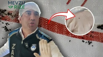 Fırın denetiminde mide bulandıran görüntü! Paletlerin altından çıktı: Zabıta müdürü bile gördükleri karşısında "midem bulandı" dedi