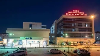 Van'da Samanlıkta Acı Olay! Hareketsiz Bulunan Kişi Hayatını Kaybetti