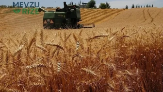 TARSİM'in son verileri riskin boyutunu ortaya koydu