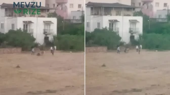 Gercüş'te Kaçan İnek, Sahibinin Yaralanmasına Sebep Oldu!