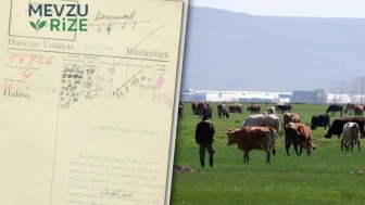 1933 Yılında Danimarka'nın Erzurum'a Yönelik İlgi Duyduğu Ortaya Çıktı: Arşiv Belgeleri Gözü Doldurdu!