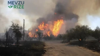 50 vilayette turuncu alarm: Ülkede sıcak hava yangın riskini artırdı
