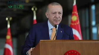 Cumhurbaşkanı Erdoğan DEM Parti heyetini kabul edecek