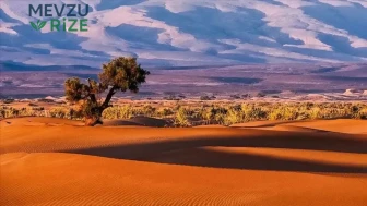 Batı Afrika için iklim krizi uyarısı : 32 milyon kişi yerinden edilebilir