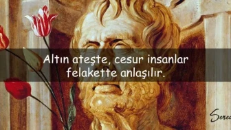 Seneca Sözleri: Hayat, Erdem ve Stoacı Felsefeden İlham Veren Alıntılar