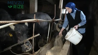 Atama Beklerken Çiftlik Açtı: Artık Siparişleri Karşılamakta Zorlanıyor!