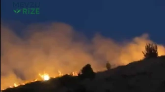 Elazığ'da Orman Yangını Korkutuyor: Rüzgar Alevleri Alev Alev Yükseltiyor!