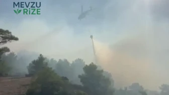 Antalya Kaş'ta Orman Yangınına Hızla Müdahale Ediliyor: Hem Kara Hem de Havadan Çalışmalar Devam Ediyor
